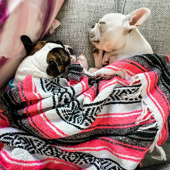 Meet your Posher, Beth - Picture 7 of 11